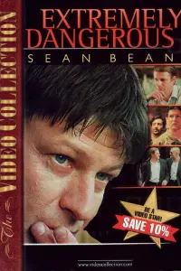 Постер новости