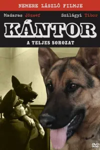 Постер новости